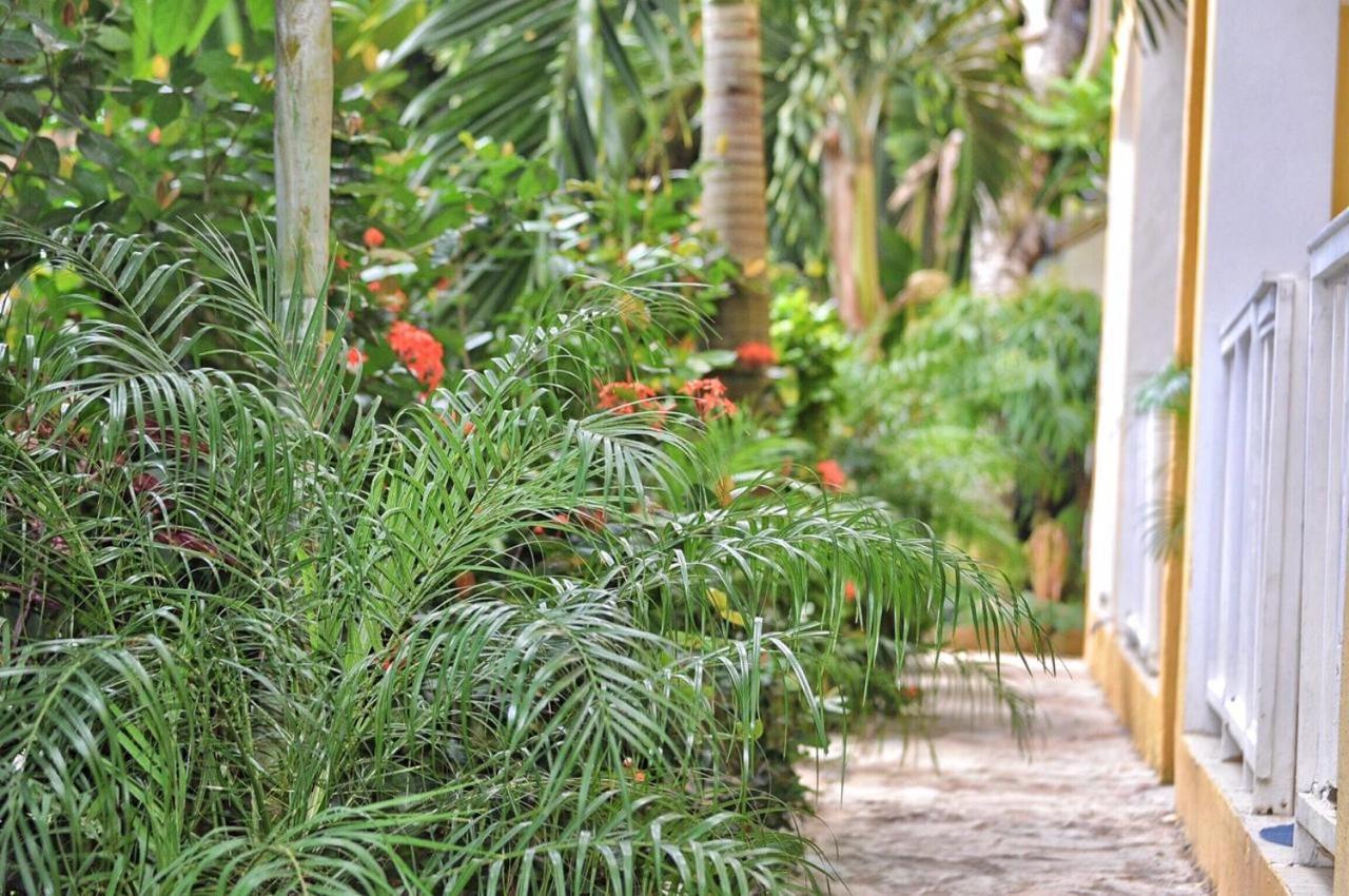De Luz Hotel El Limon Εξωτερικό φωτογραφία